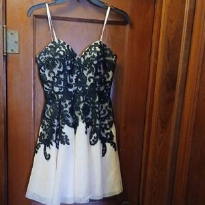 Elegant Black and Cream Mini Dress